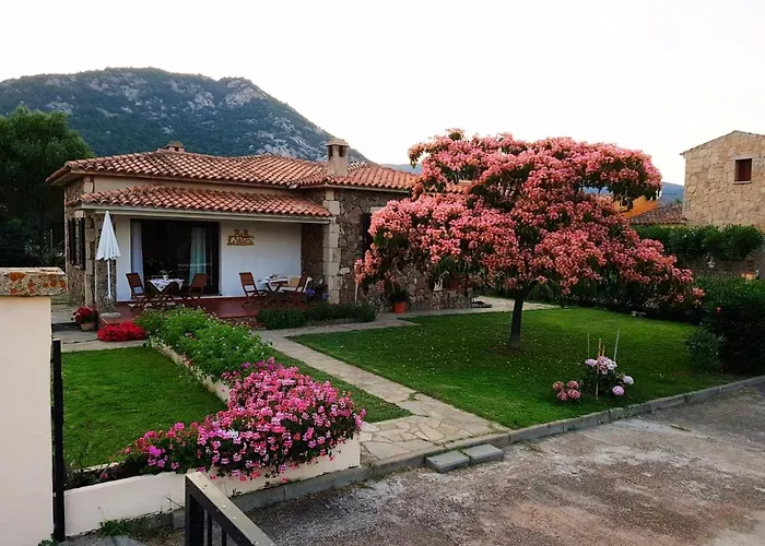 Pet friendly La Villetta San Teodoro 