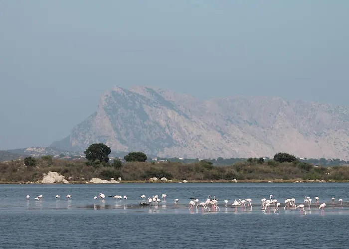 Monolocale Belvedere San Teodoro 