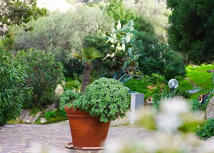 L'Olivastro Appartamenti A Porto Cervo