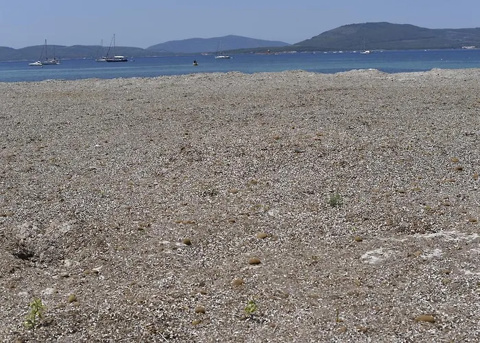 Pet friendly Casa Vacanza Via Paoli Alghero