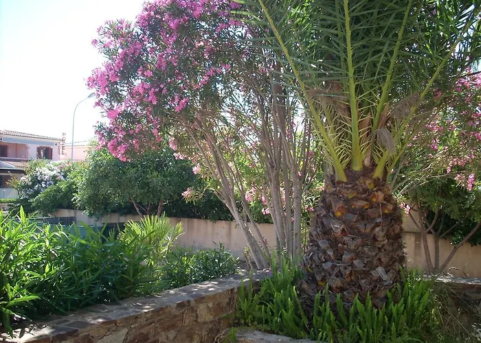 Casa Oleandro Apartment San Teodoro 